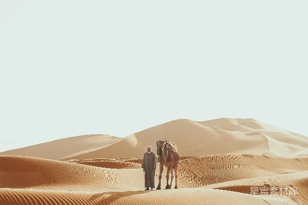 高清摄影 沙漠中的旅者