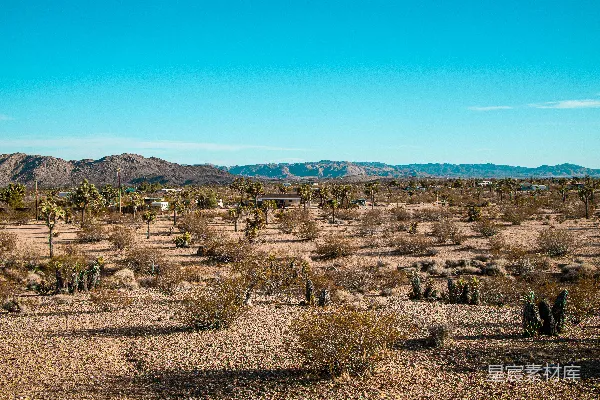 高清摄影 沙漠中的绿洲
