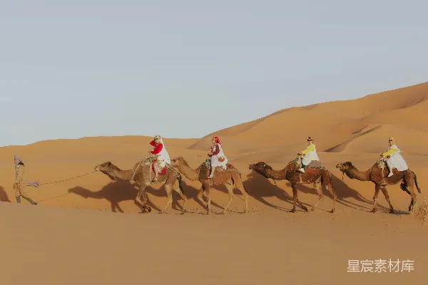 高清摄影 沙漠骆驼之旅