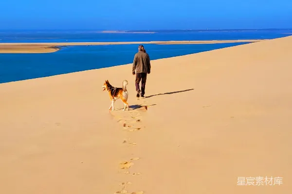 高清摄影 沙漠与湖畔的散步