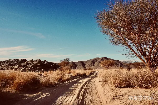 高清摄影 沙漠中的小路
