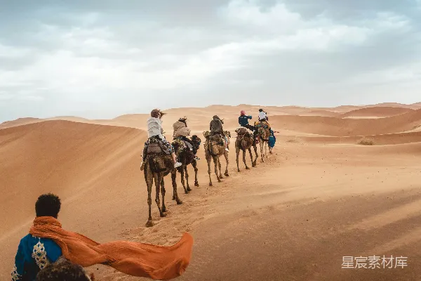 高清摄影 沙漠骆驼骑行