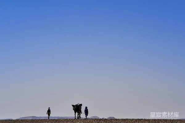 高清摄影 荒漠中的驼铃人影