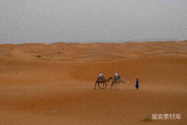 高清摄影 沙漠中的骆驼之旅