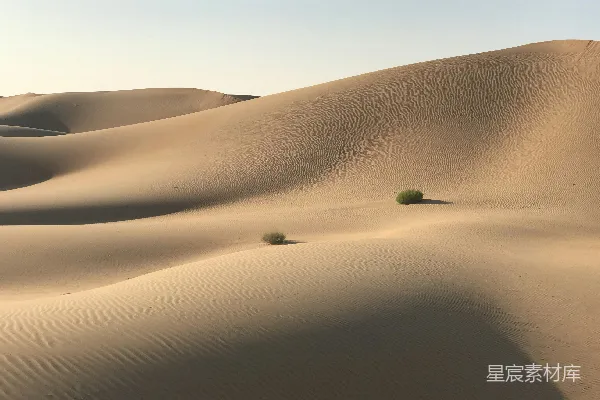 高清摄影 沙漠中的绿洲