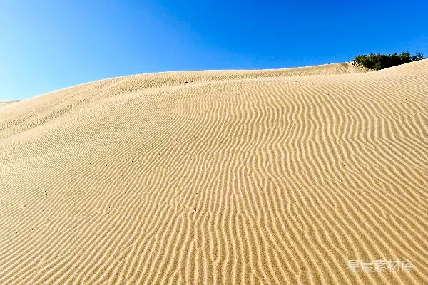 高清摄影 沙漠的呼唤