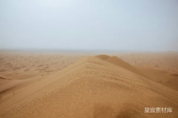 高清摄影 沙漠的宁静