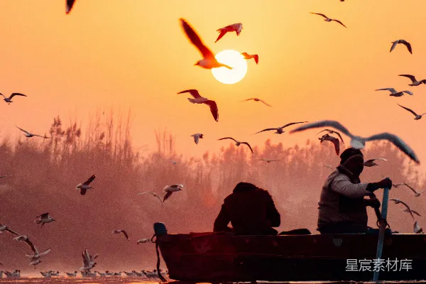 高清摄影 夕阳下的渔舟与归鸟