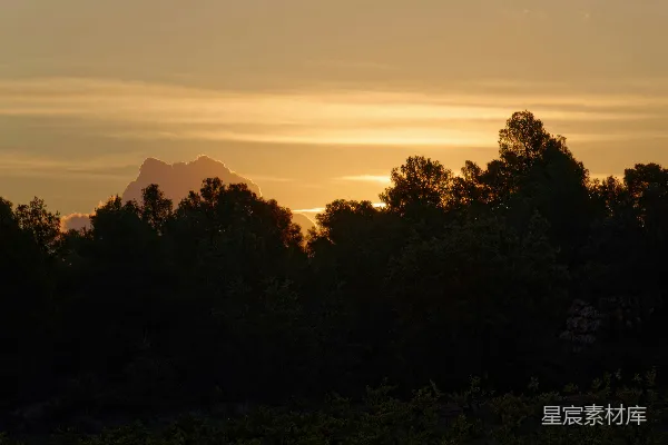 高清摄影 夕阳下的森林剪影