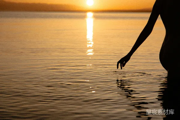 高清摄影 夕阳下的湖畔剪影