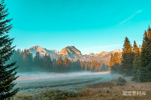 高清摄影 晨雾中的山林