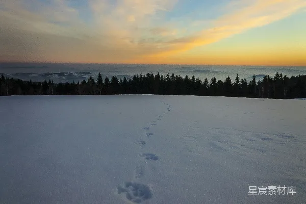 高清摄影 雪地上的足迹与夕阳