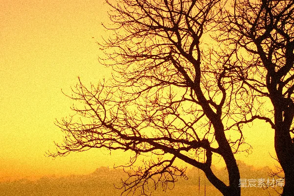 高清摄影 夕阳下的静谧海滩