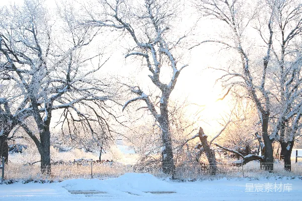 高清摄影 冬日晨曦下的雪景