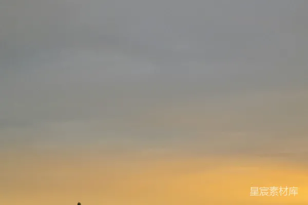 高清摄影 夕阳下的城市剪影