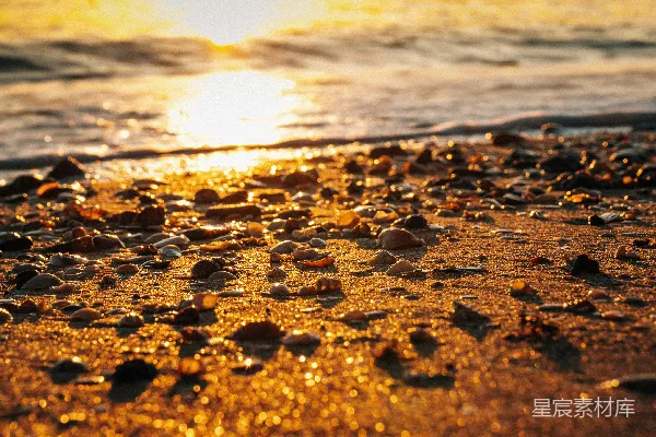 高清摄影 夕阳下的海滩