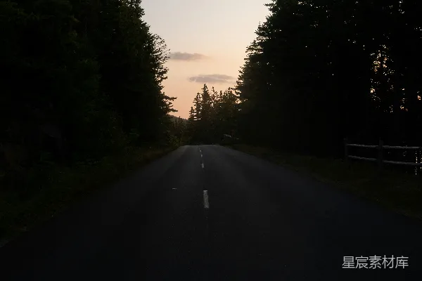 高清摄影 黄昏中的森林公路