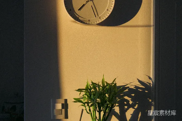 高清摄影 光影中的钟表与绿植