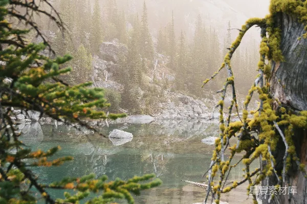 高清摄影 雾中的静谧湖景