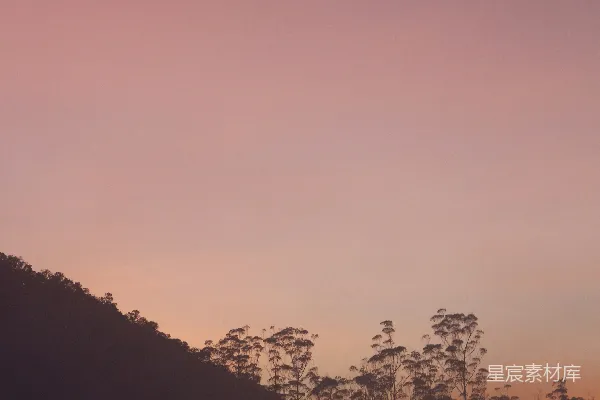 高清摄影 晨雾中的露营