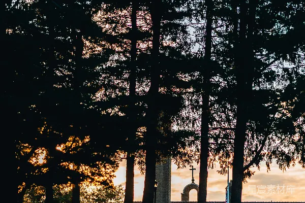 高清摄影 夕阳下的教堂与松树