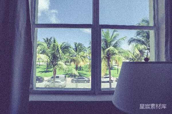 高清摄影 窗外的椰子树与宁静的街景