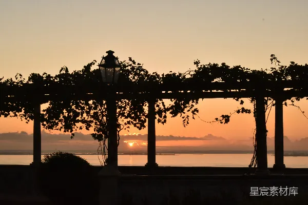 高清摄影 夕阳下的葡萄架