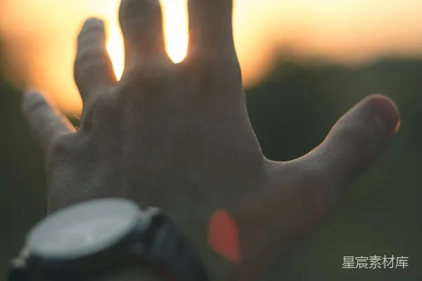 高清摄影 触碰夕阳的手