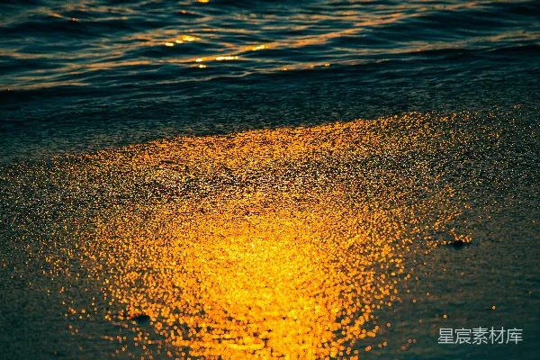 高清摄影 夕阳下的海浪