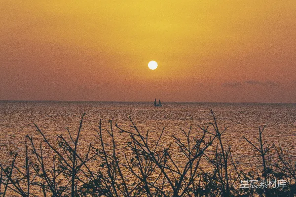 高清摄影 夕阳西下，帆船远航