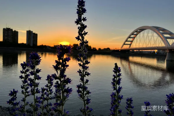 高清摄影 夕阳下的城市风景