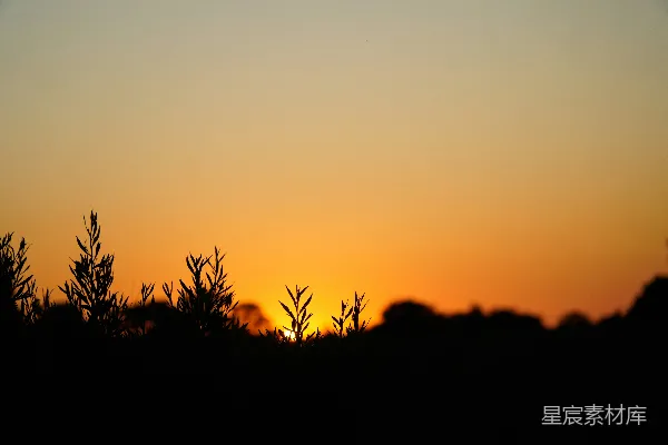 高清摄影 夕阳下的剪影