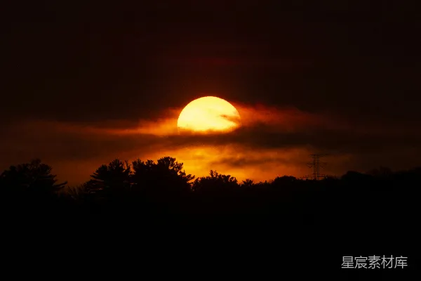 高清摄影 夕阳余晖下的树林