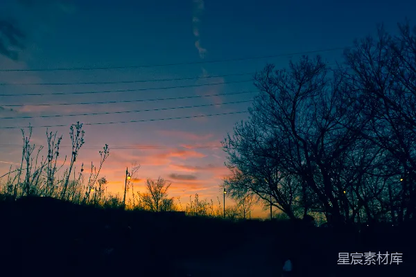 高清摄影 夕阳下的电线杆