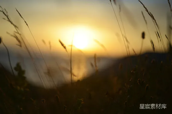高清摄影 夕阳下的田野