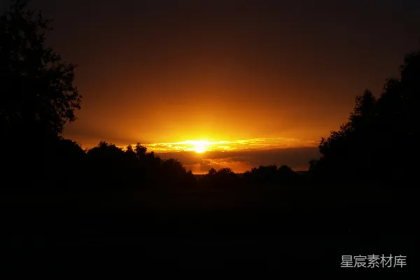 高清摄影 夕阳下的宁静森林