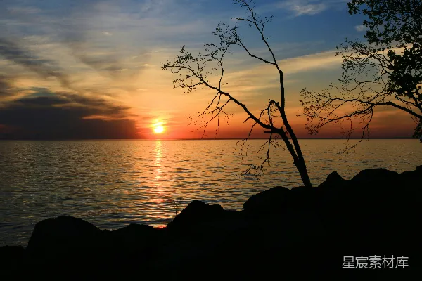 高清摄影 日落海景与剪影树