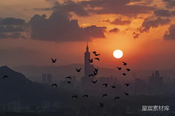 高清摄影 夕阳下的城市与飞鸟
