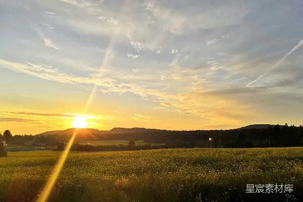 高清摄影 夕阳下的油菜花田