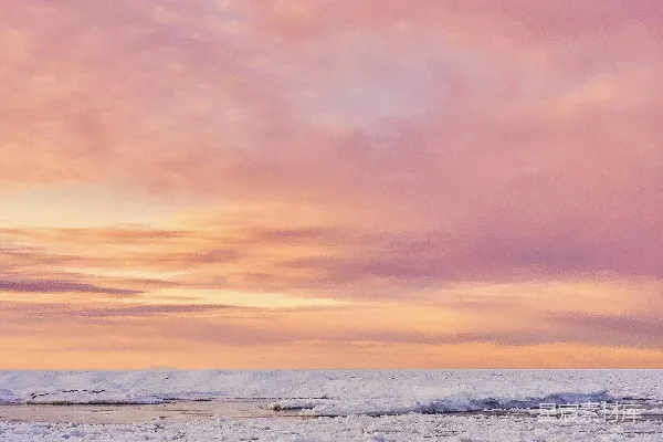 高清摄影 冬日粉霞海景