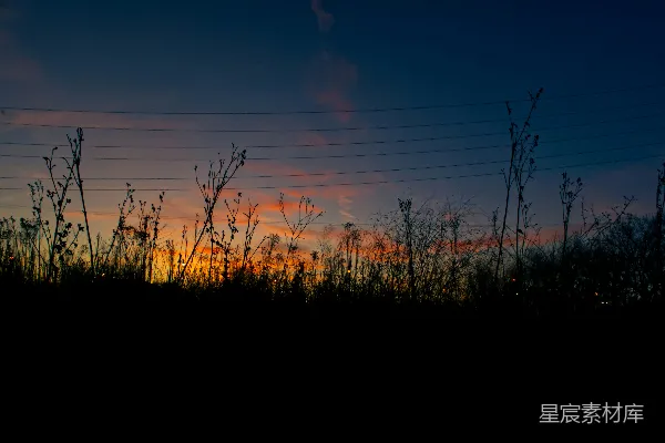 高清摄影 夕阳下的田野