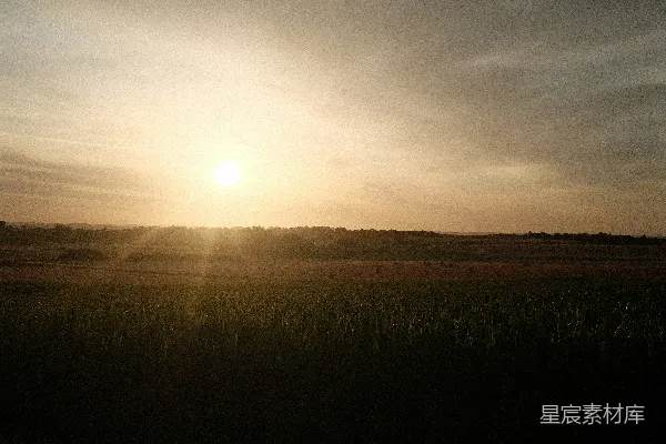 高清摄影 夕阳下的田野
