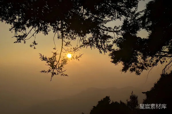 高清摄影 夕阳透过树林的剪影
