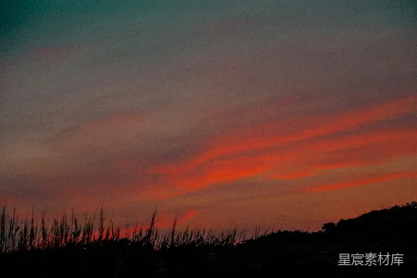 高清摄影 夕阳下的田野