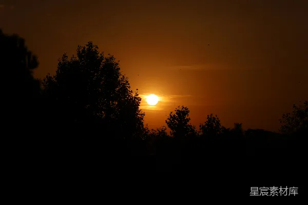 高清摄影 夕阳映树梢