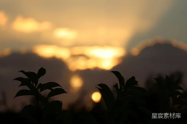 高清摄影 夕阳下的剪影