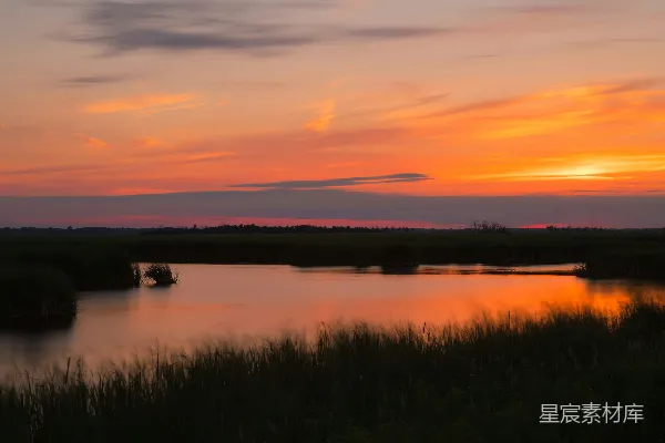 高清摄影 夕阳下的湿地风景