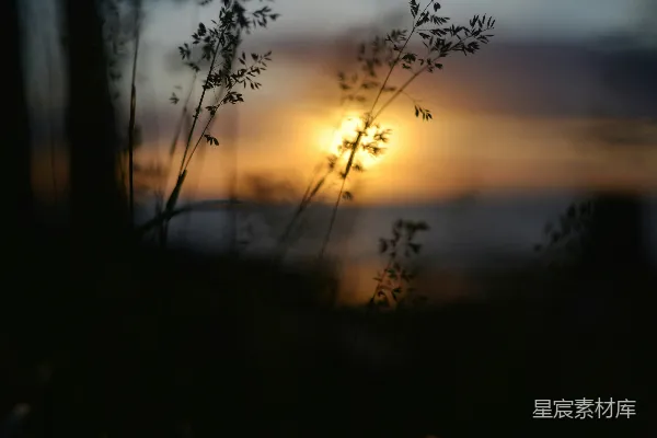 高清摄影 夕阳下的剪影