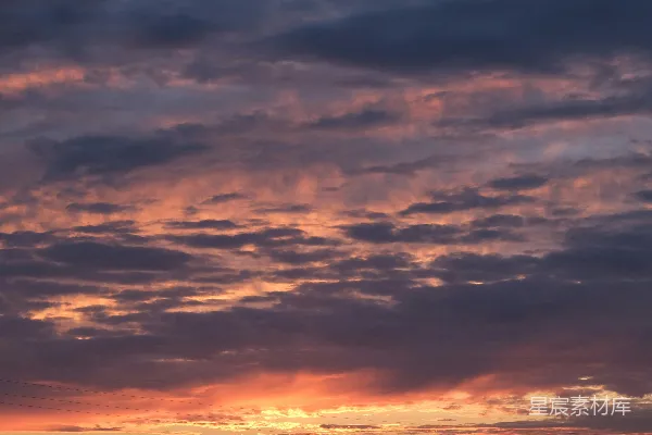 高清摄影 夕阳下的宁静田野