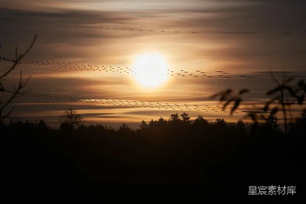 高清摄影 夕阳下的宁静